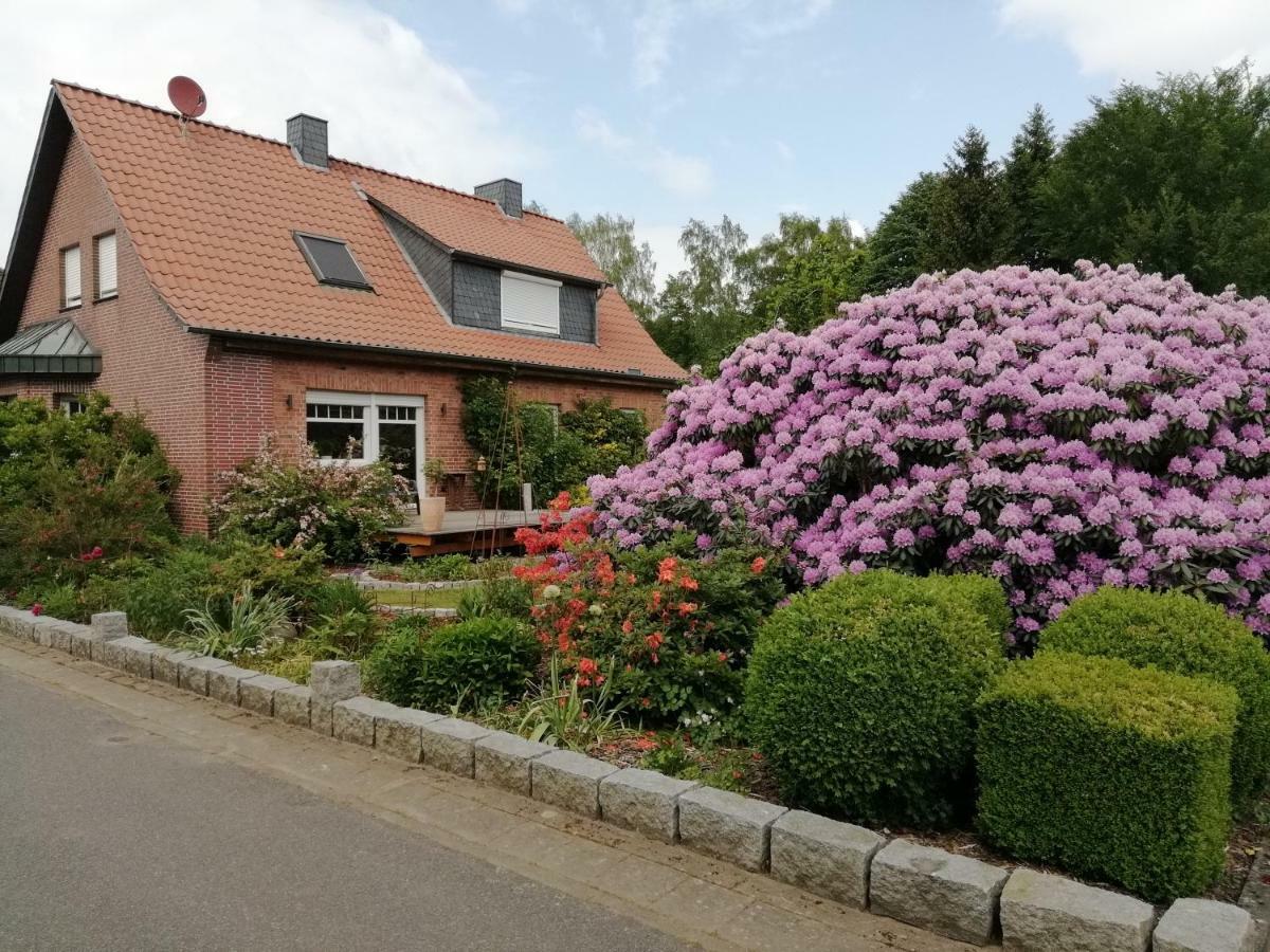 Ferienwohnung Bachmanns Ruh Wietzendorf Εξωτερικό φωτογραφία